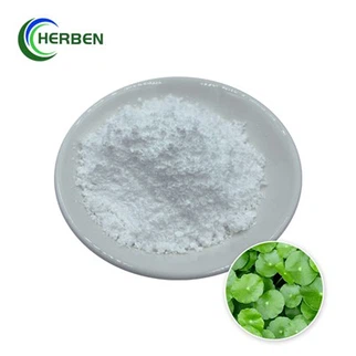 Extrakt z Centella Asiatica v prášku