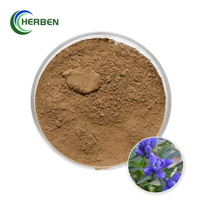 Extrakt z Gentiany v prášku