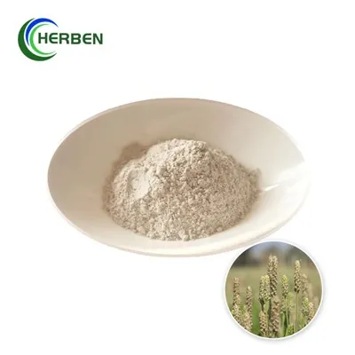 Přírodní prášek z Psyllium Husk Powder