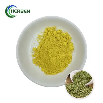 Čistý rutinový prášek