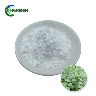 Extrakt z resveratrolu v prášku