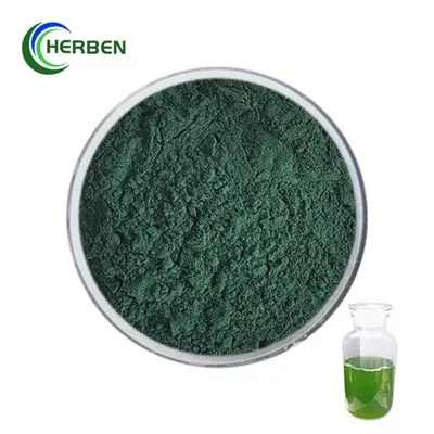 Nannochloropsis prášek