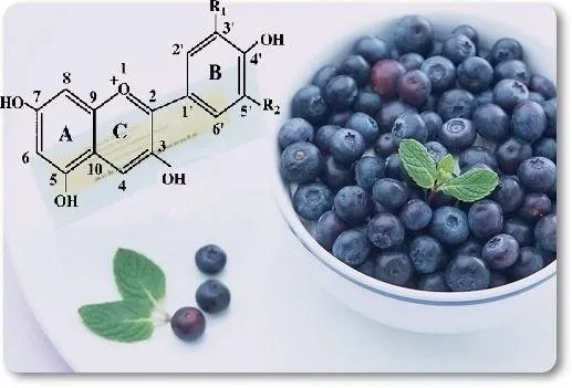 Anthocyanins Anthocyanins