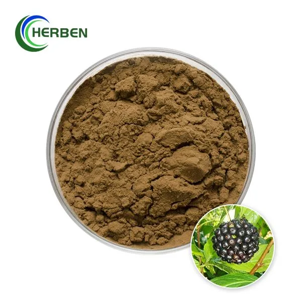 Extrakt ze sibiřského ženšenu v prášku