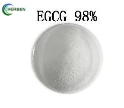 EGCG 98 %